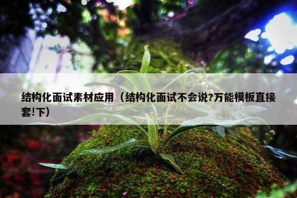 结构化面试素材应用（结构化面试不会说?万能模板直接套!下）