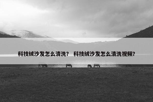 科技绒沙发怎么清洗？ 科技绒沙发怎么清洗视频？