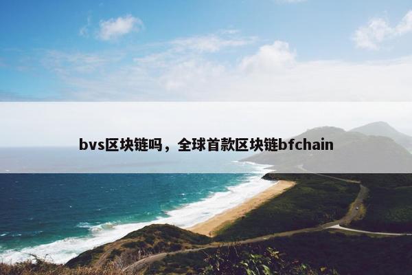 bvs区块链吗，全球首款区块链bfchain