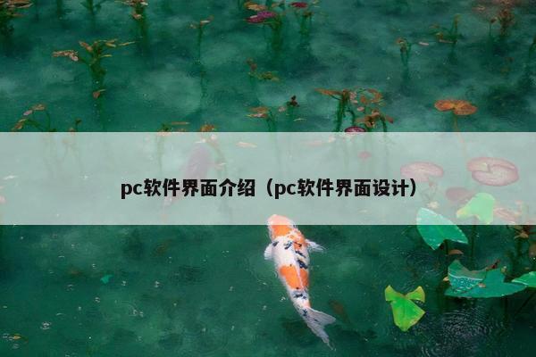 pc软件界面介绍（pc软件界面设计）
