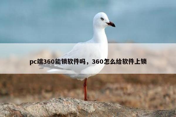 pc端360能锁软件吗，360怎么给软件上锁