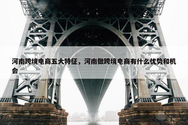 河南跨境电商五大特征，河南做跨境电商有什么优势和机会