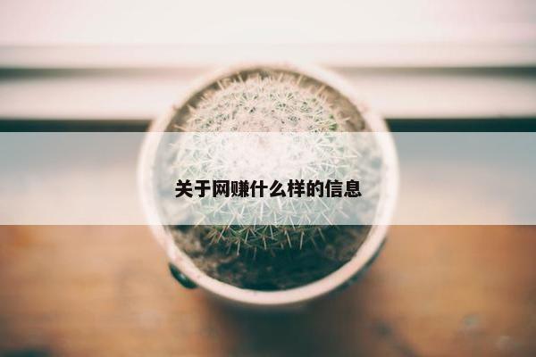 关于网赚什么样的信息