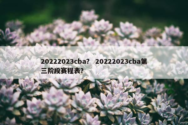 20222023cba？ 20222023cba第三阶段赛程表？