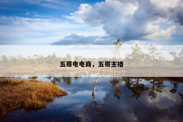 五哥电电商，五哥主播