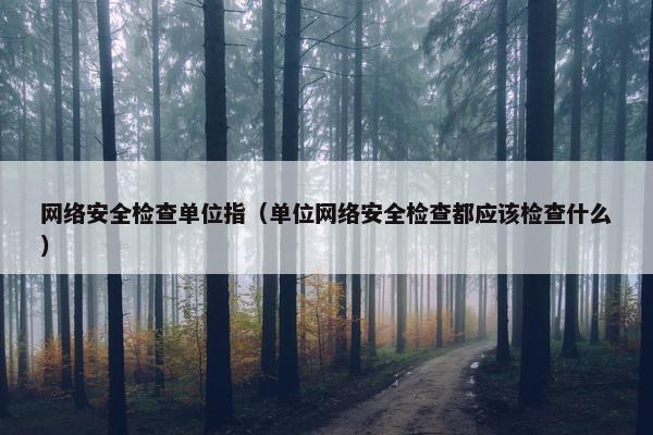 网络安全检查单位指（单位网络安全检查都应该检查什么）