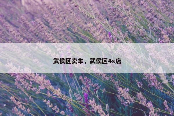 武侯区卖车，武侯区4s店