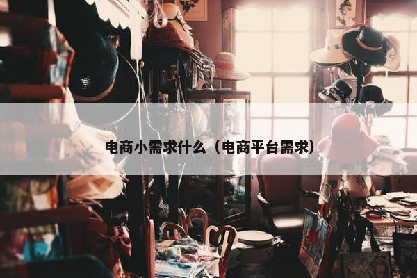 电商小需求什么（电商平台需求）