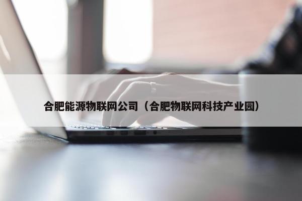 合肥能源物联网公司（合肥物联网科技产业园）