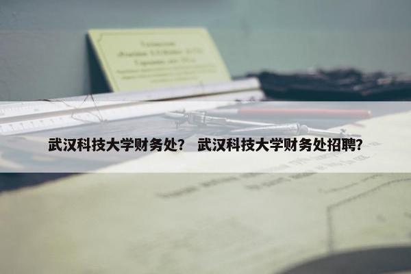 武汉科技大学财务处？ 武汉科技大学财务处招聘？