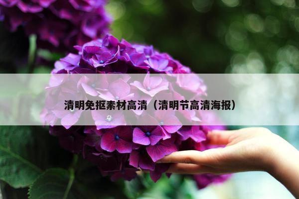 清明免抠素材高清（清明节高清海报）