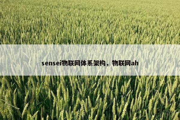 sensei物联网体系架构，物联网ah