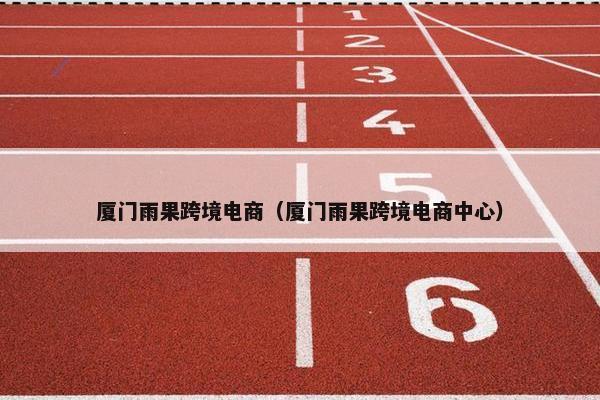 厦门雨果跨境电商（厦门雨果跨境电商中心）