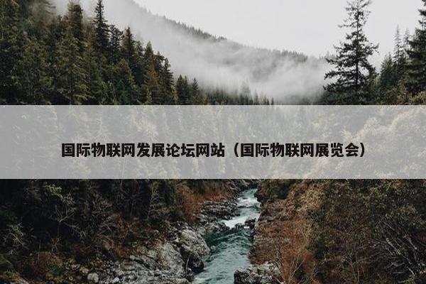 国际物联网发展论坛网站（国际物联网展览会）