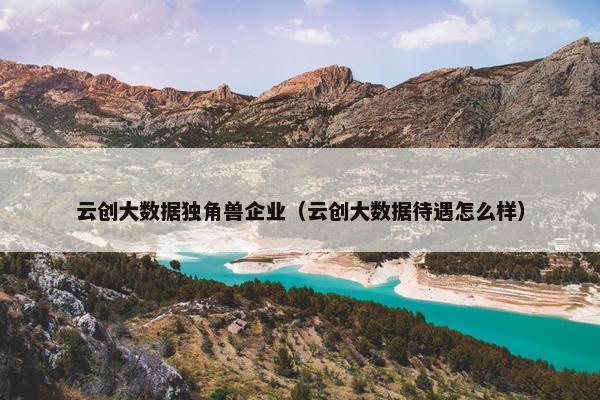 云创大数据独角兽企业（云创大数据待遇怎么样）