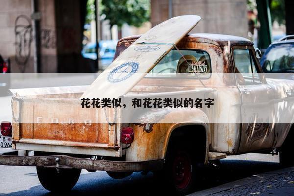花花类似，和花花类似的名字