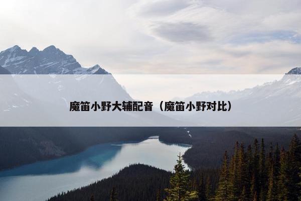 魔笛小野大辅配音（魔笛小野对比）