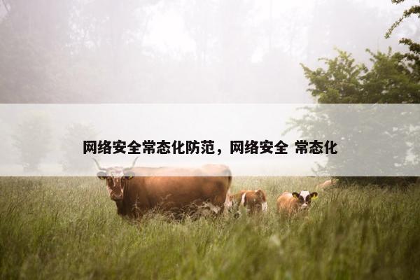 网络安全常态化防范，网络安全 常态化