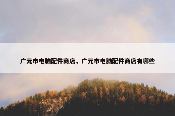 广元市电脑配件商店，广元市电脑配件商店有哪些