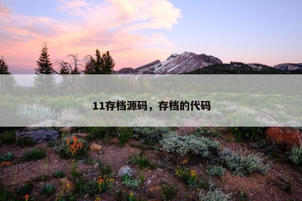 11存档源码，存档的代码