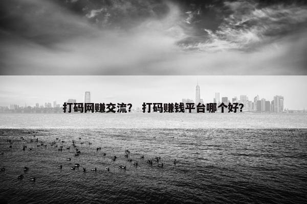 打码网赚交流？ 打码赚钱平台哪个好？