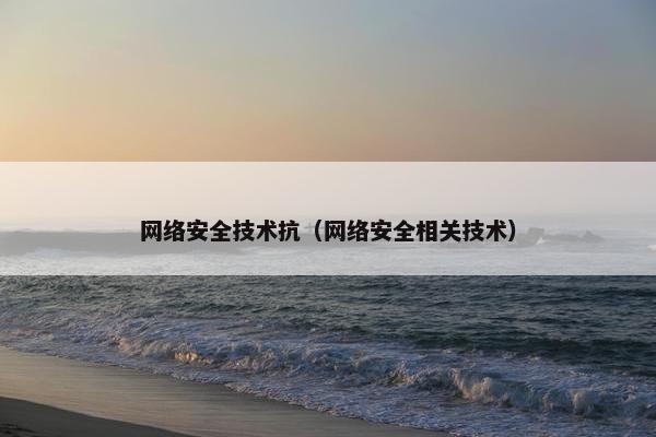 网络安全技术抗（网络安全相关技术）