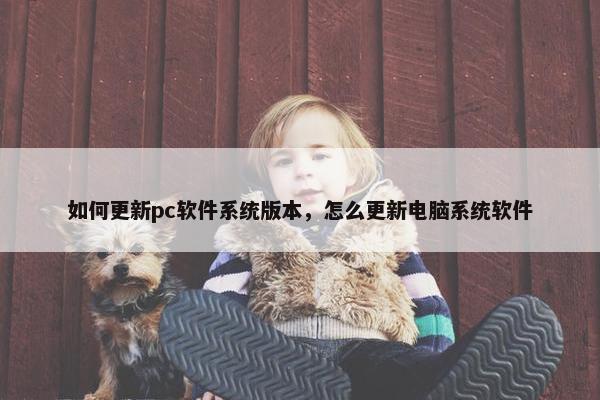 如何更新pc软件系统版本，怎么更新电脑系统软件