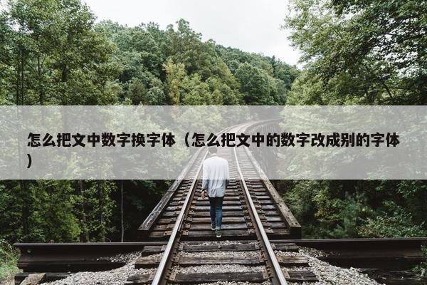怎么把文中数字换字体（怎么把文中的数字改成别的字体）