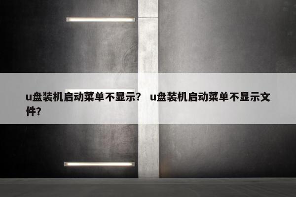 u盘装机启动菜单不显示？ u盘装机启动菜单不显示文件？
