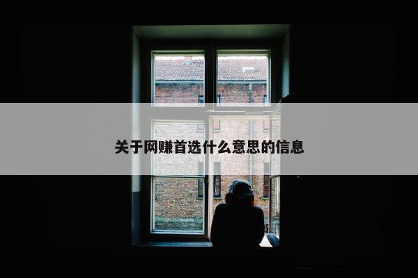 关于网赚首选什么意思的信息