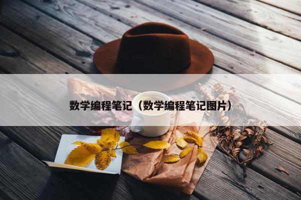 数学编程笔记（数学编程笔记图片）