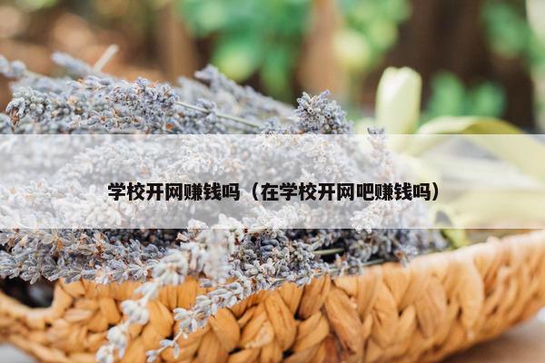 学校开网赚钱吗（在学校开网吧赚钱吗）