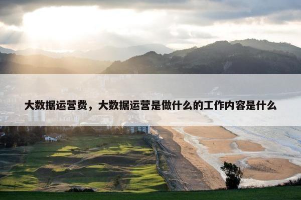 大数据运营费，大数据运营是做什么的工作内容是什么