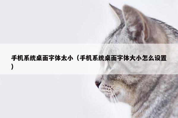 手机系统桌面字体太小（手机系统桌面字体大小怎么设置）
