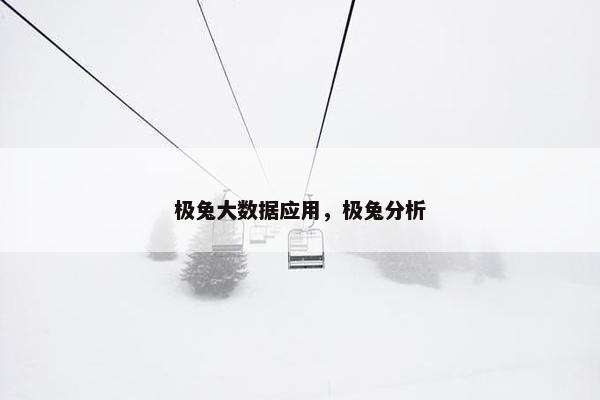 极兔大数据应用，极兔分析