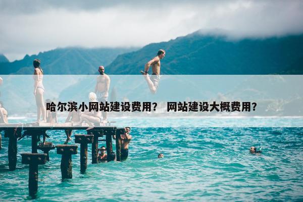 哈尔滨小网站建设费用？ 网站建设大概费用？