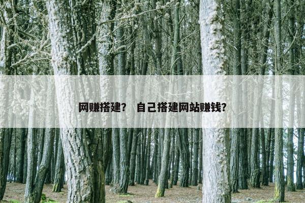 网赚搭建？ 自己搭建网站赚钱？