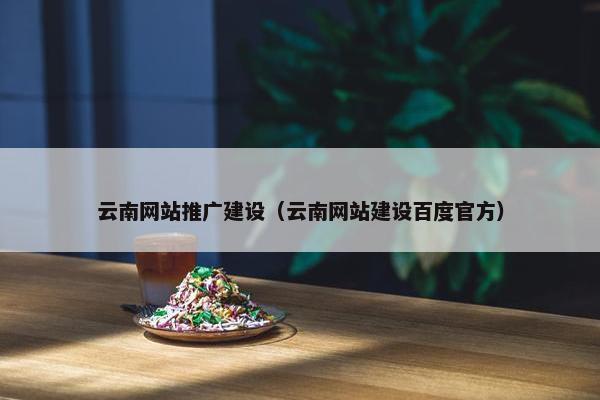 云南网站推广建设（云南网站建设百度官方）