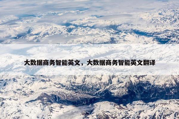 大数据商务智能英文，大数据商务智能英文翻译
