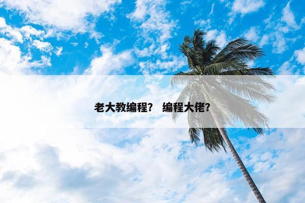 老大教编程？ 编程大佬？