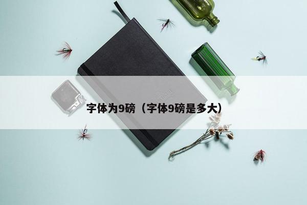 字体为9磅（字体9磅是多大）
