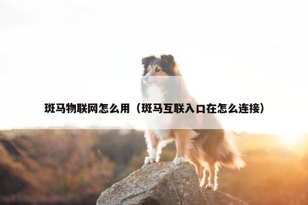 斑马物联网怎么用（斑马互联入口在怎么连接）