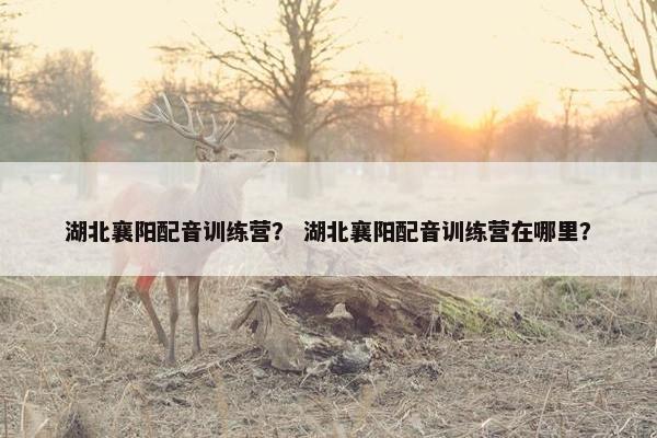 湖北襄阳配音训练营？ 湖北襄阳配音训练营在哪里？