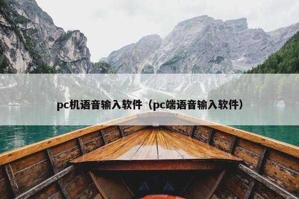 pc机语音输入软件（pc端语音输入软件）