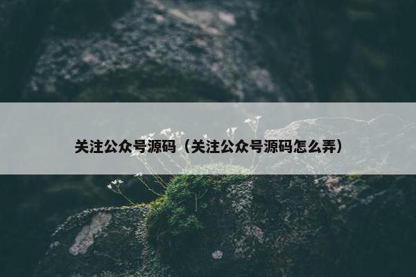 关注公众号源码（关注公众号源码怎么弄）