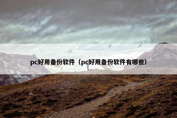 pc好用备份软件（pc好用备份软件有哪些）