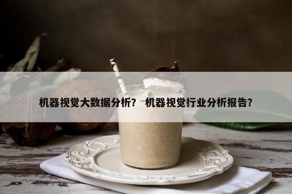 机器视觉大数据分析？ 机器视觉行业分析报告？