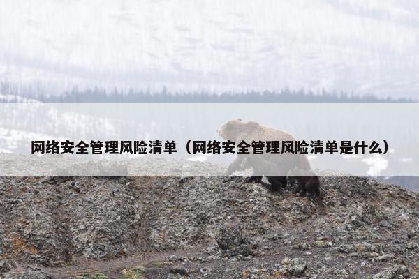 网络安全管理风险清单（网络安全管理风险清单是什么）