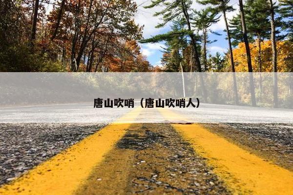 唐山吹哨（唐山吹哨人）