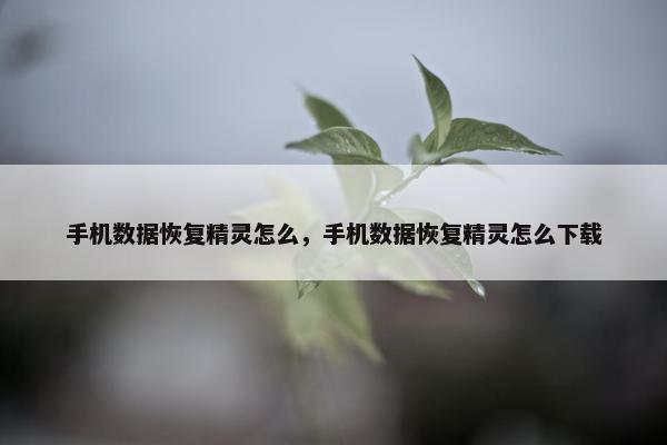 手机数据恢复精灵怎么，手机数据恢复精灵怎么下载